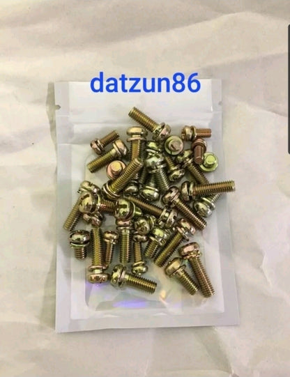 1970-73 Datsun 240z New Old Stock NOS Nissan Round Top SU JIS Screw Kit 36 Piece